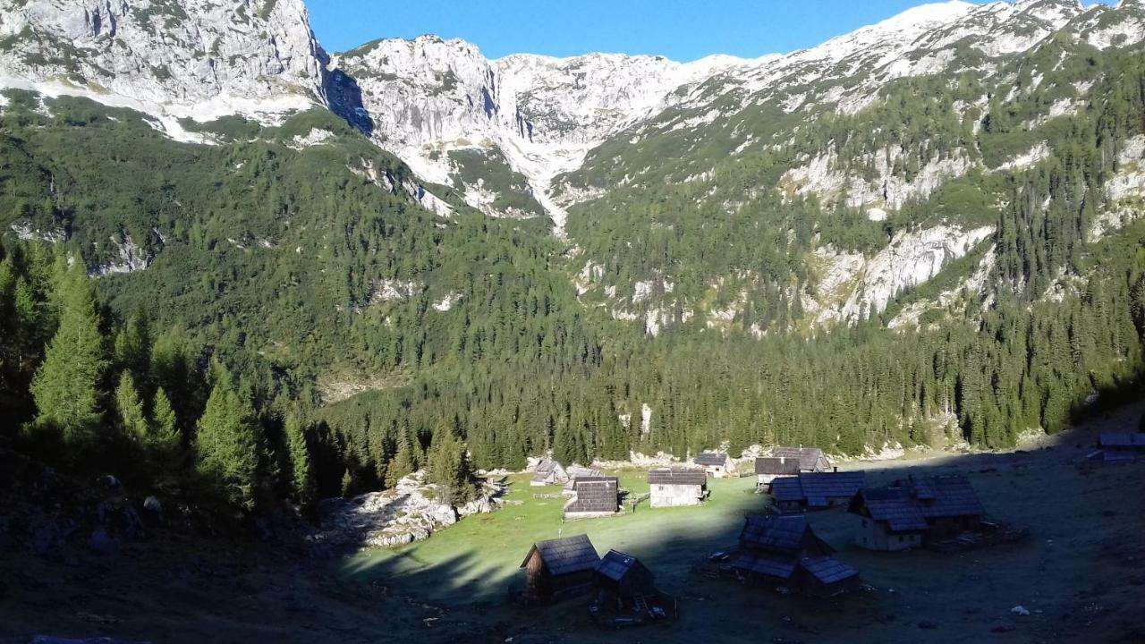 Apartament Hiska Henrik Zalokar Bohinj Zewnętrze zdjęcie